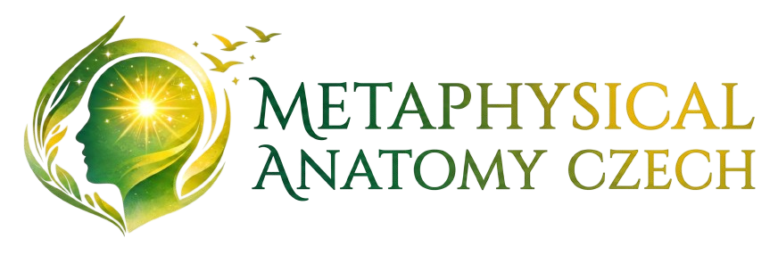 Metaphysical Anatomy Czech